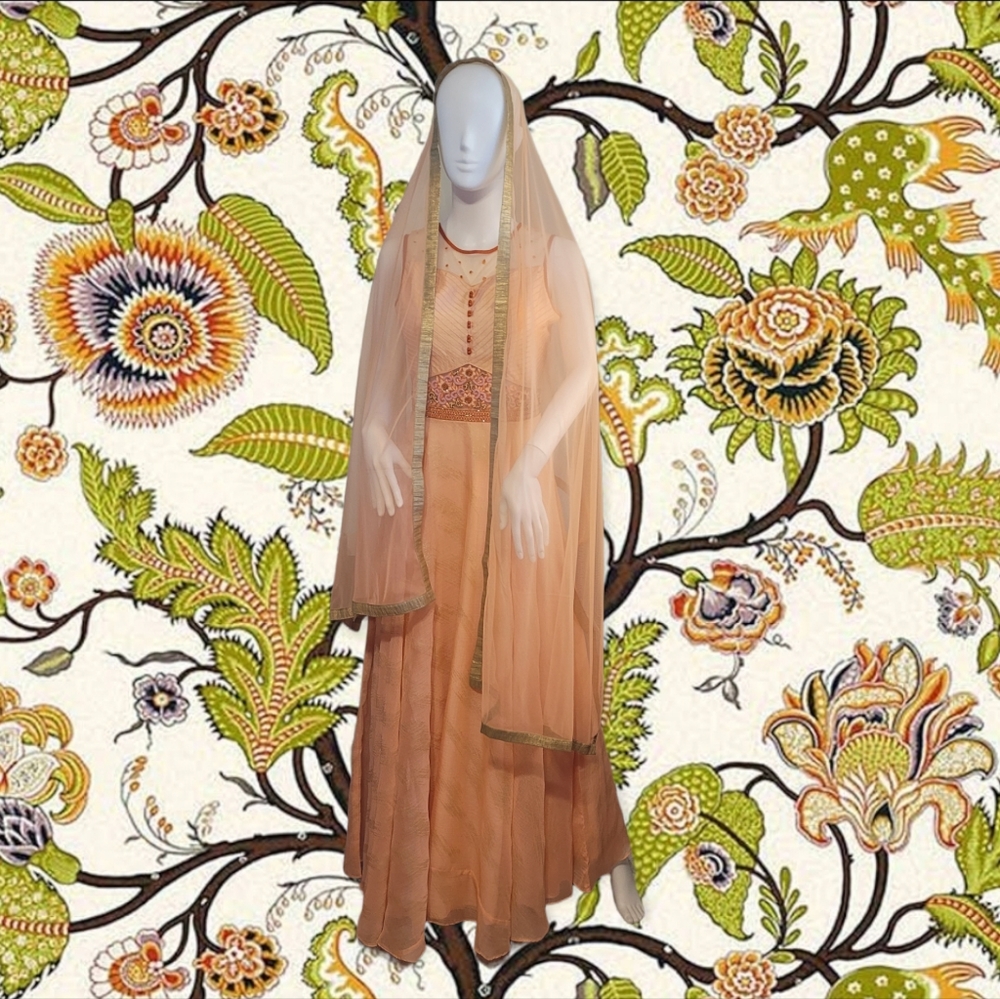 Indian Beaded Georgette Gown